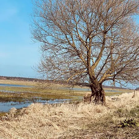 Tilia authentic home, butikowe apartamenty nad morzem Mikoszewo Zewnętrze zdjęcie