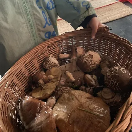 Tilia authentic home, butikowe apartamenty nad morzem Mikoszewo Zewnętrze zdjęcie